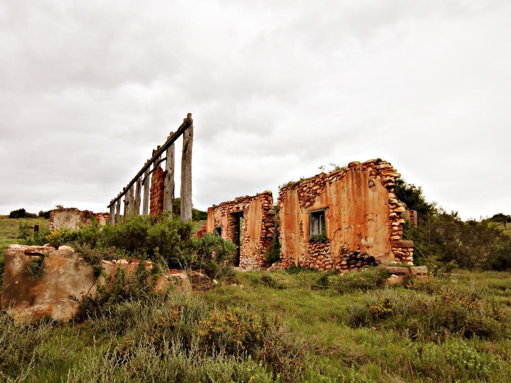 Hlosi Game Lodge - Amakhala Game Reserve Buyskloof Екстериор снимка