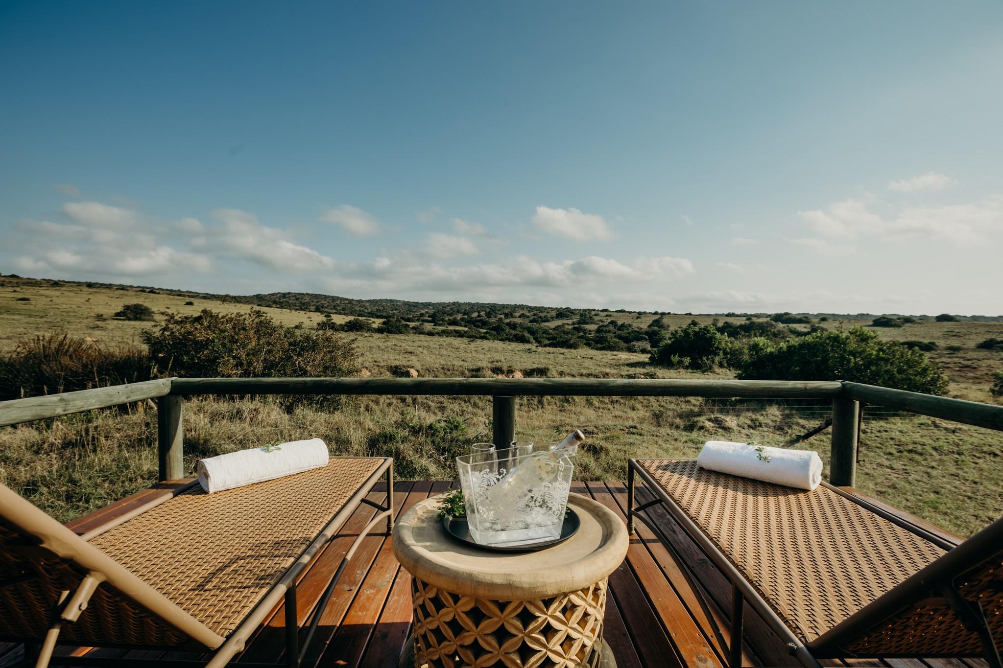 Hlosi Game Lodge - Amakhala Game Reserve Buyskloof Екстериор снимка