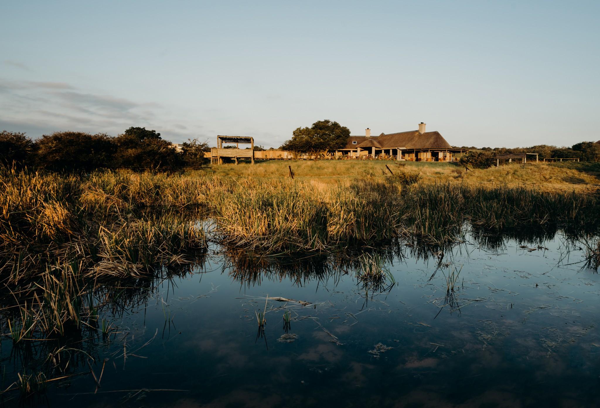 Hlosi Game Lodge - Amakhala Game Reserve Buyskloof Екстериор снимка