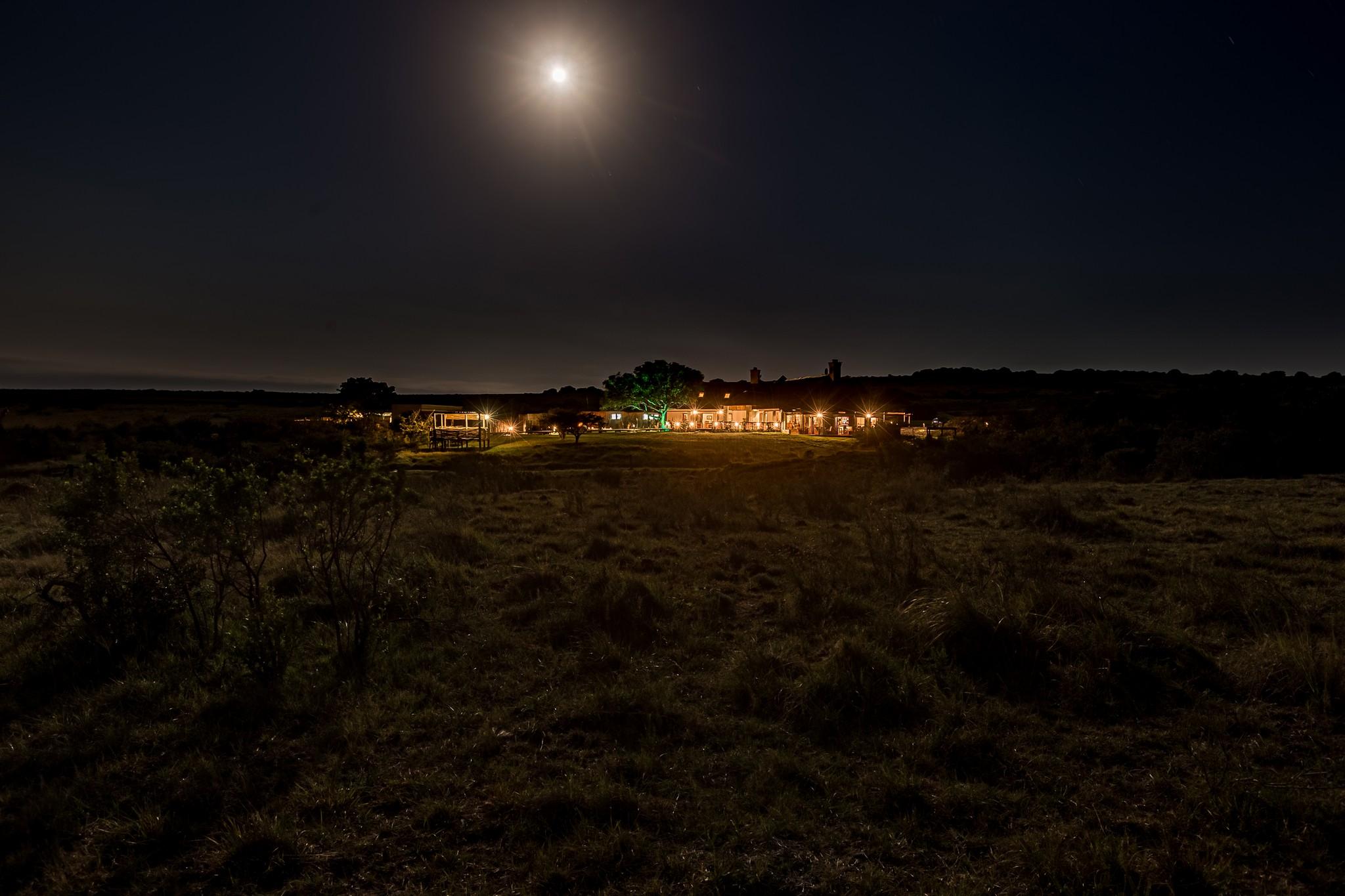 Hlosi Game Lodge - Amakhala Game Reserve Buyskloof Екстериор снимка