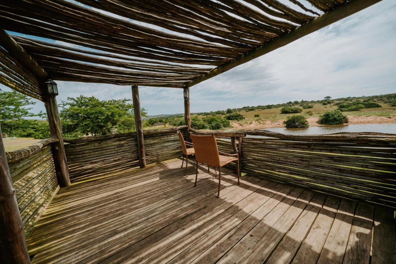 Hlosi Game Lodge - Amakhala Game Reserve Buyskloof Екстериор снимка