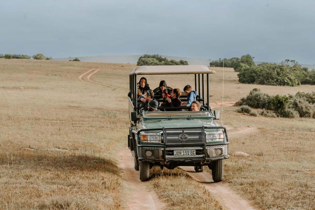 Hlosi Game Lodge - Amakhala Game Reserve Buyskloof Екстериор снимка