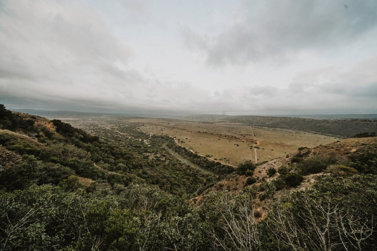 Hlosi Game Lodge - Amakhala Game Reserve Buyskloof Екстериор снимка