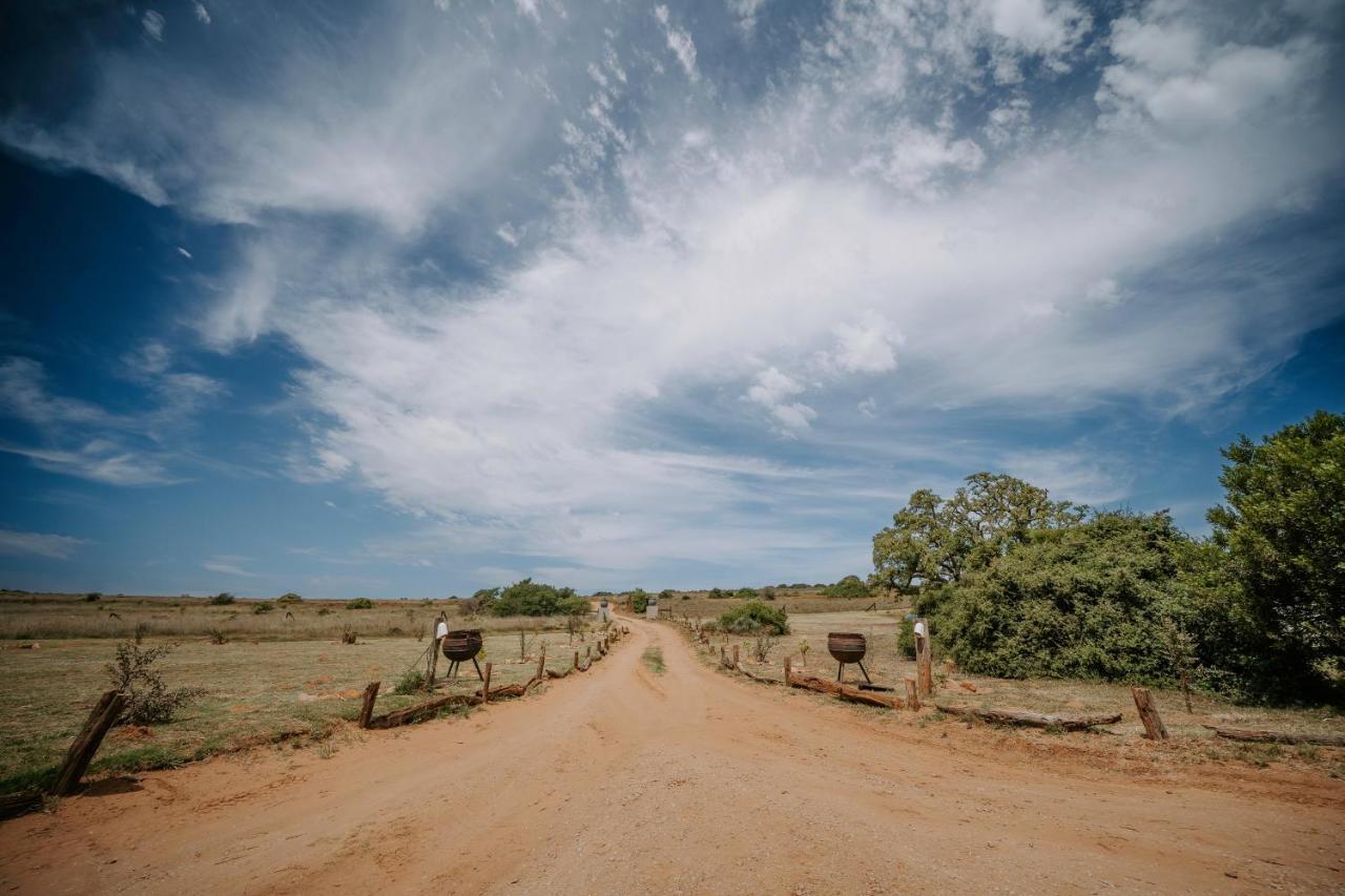 Hlosi Game Lodge - Amakhala Game Reserve Buyskloof Екстериор снимка