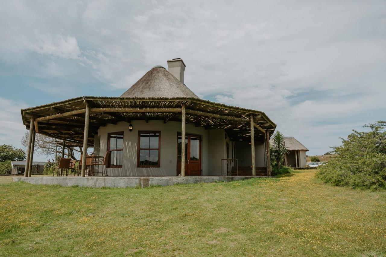 Hlosi Game Lodge - Amakhala Game Reserve Buyskloof Екстериор снимка