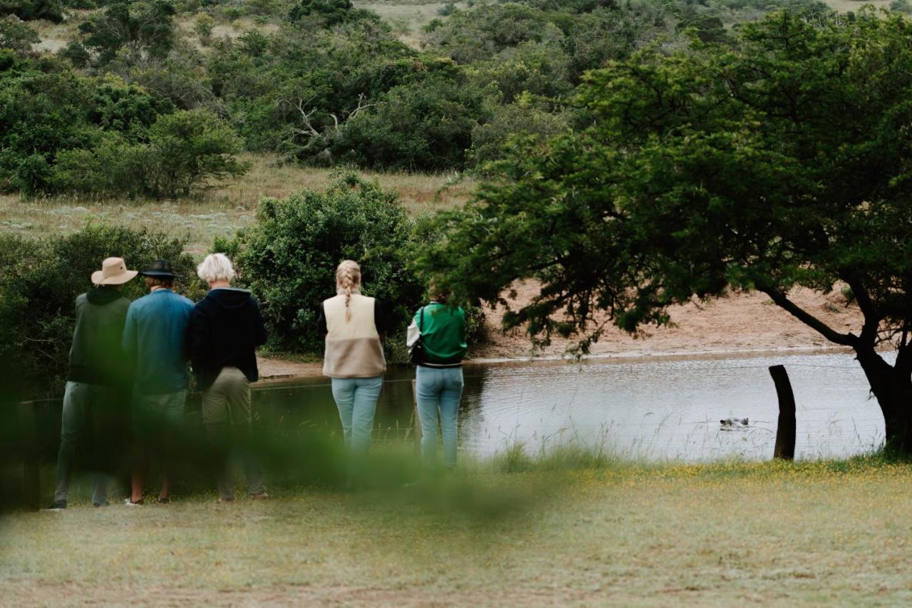 Hlosi Game Lodge - Amakhala Game Reserve Buyskloof Екстериор снимка