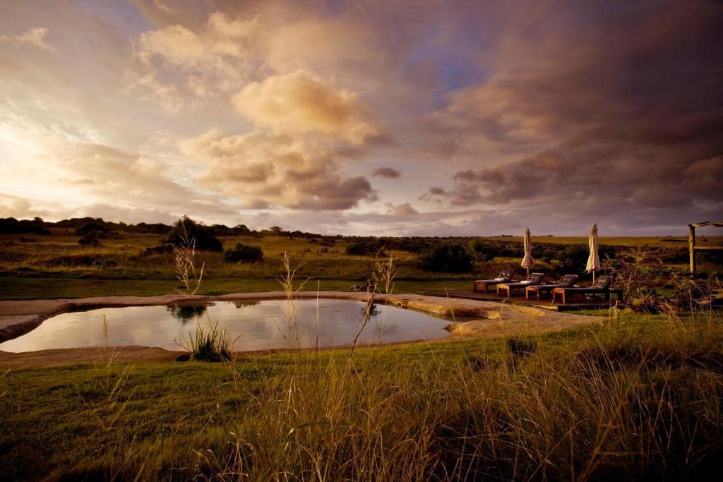 Hlosi Game Lodge - Amakhala Game Reserve Buyskloof Екстериор снимка