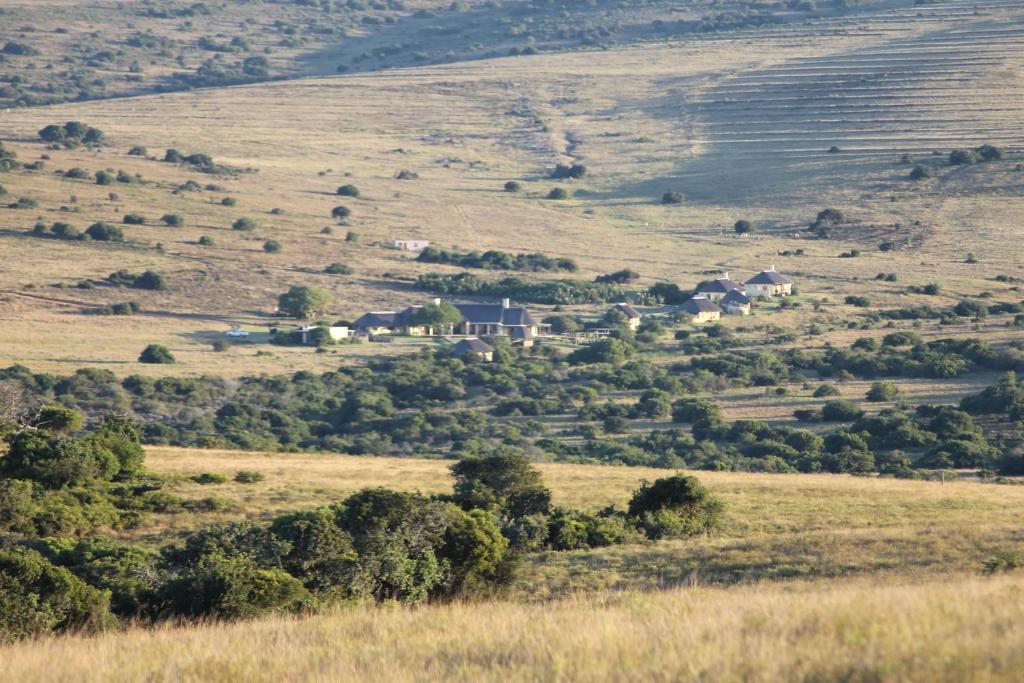 Hlosi Game Lodge - Amakhala Game Reserve Buyskloof Екстериор снимка