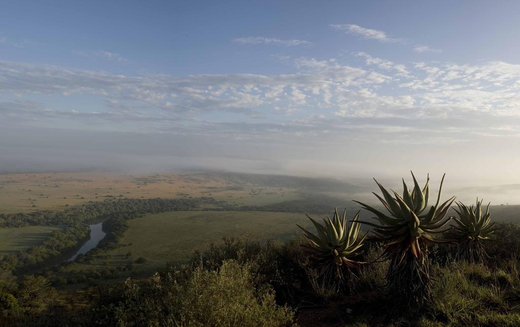 Hlosi Game Lodge - Amakhala Game Reserve Buyskloof Екстериор снимка