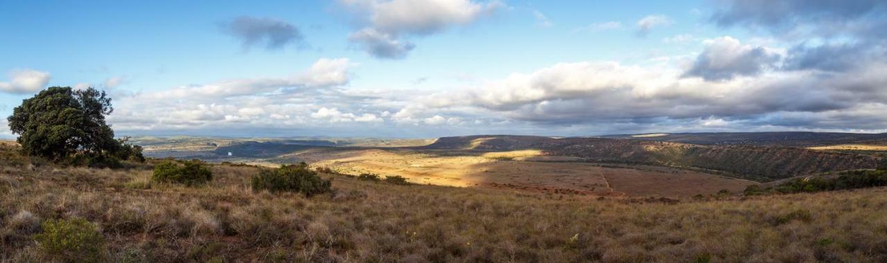 Hlosi Game Lodge - Amakhala Game Reserve Buyskloof Екстериор снимка